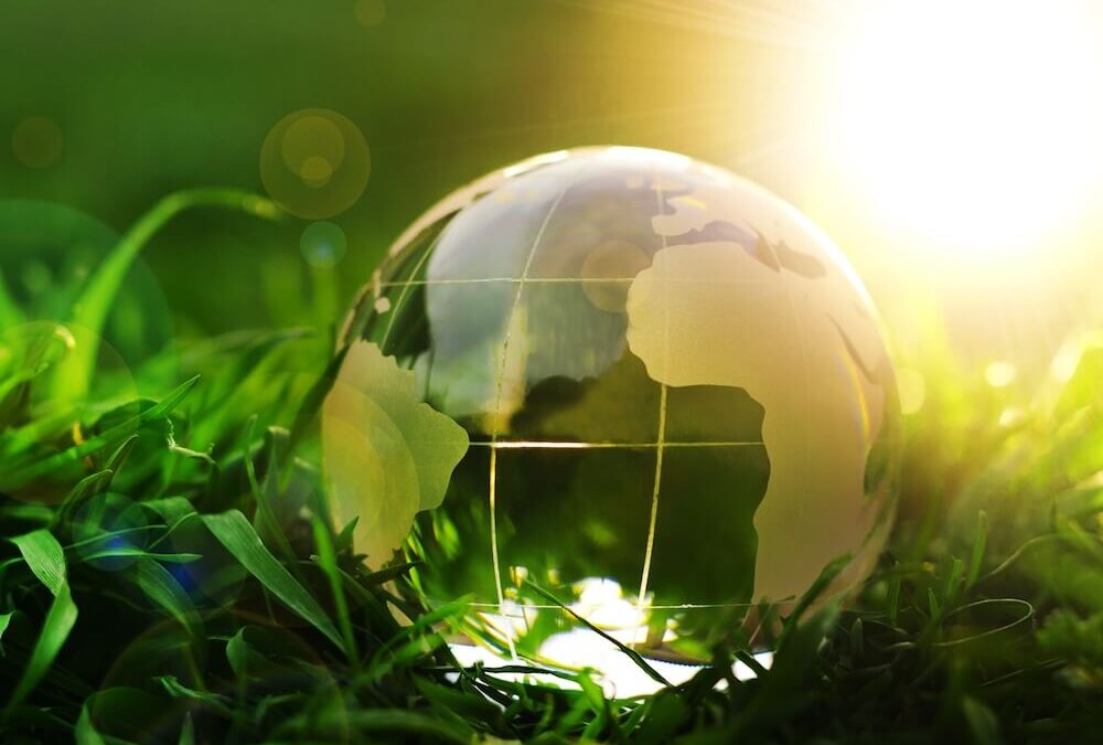 glass globe on grass