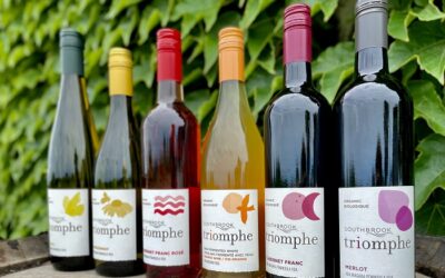 Understanding Vegan and Vegetarian Wines