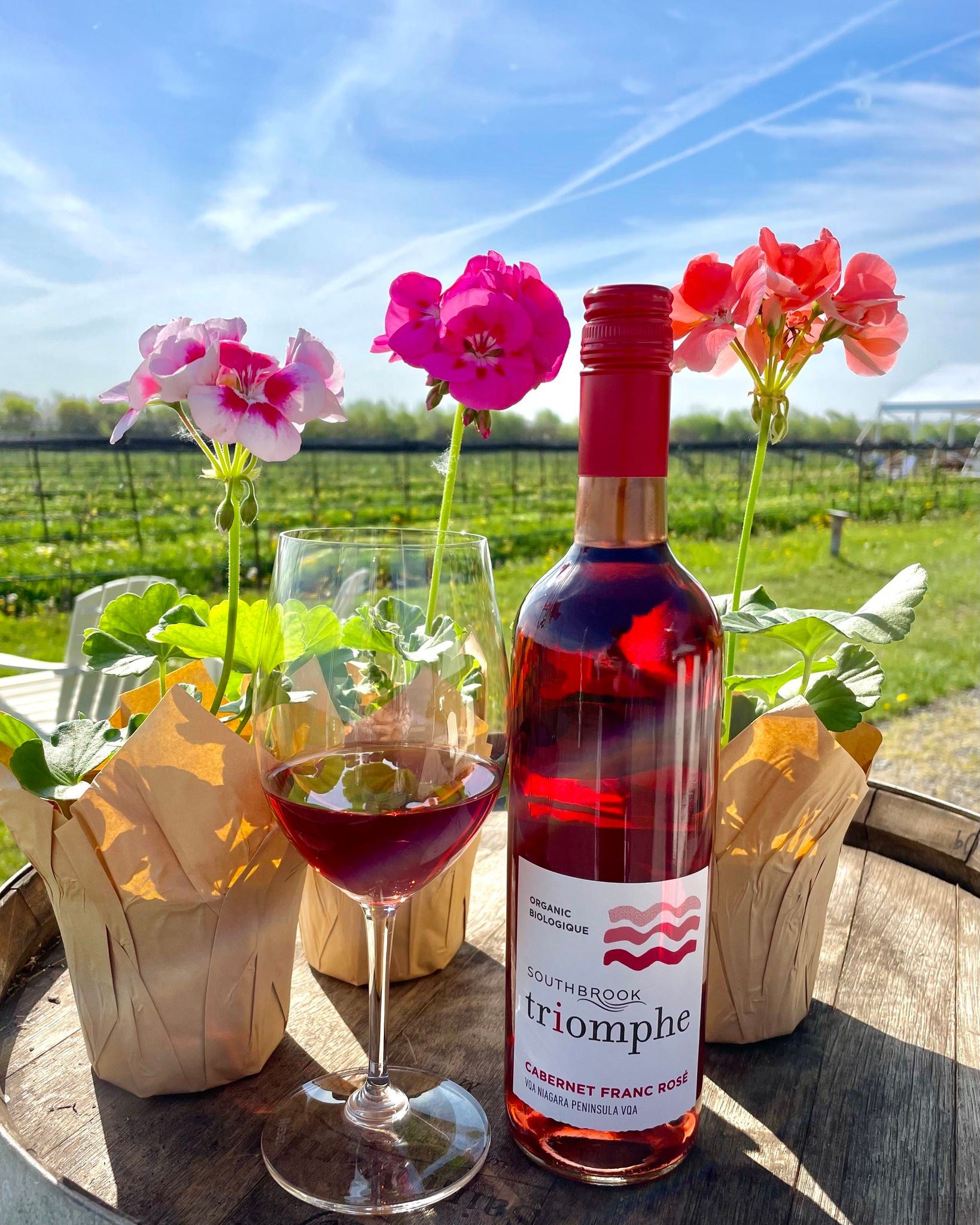 A pale pink rosé that has a fruit forward nose of strawberries, red cherries, orange peel, peach and watermelon.