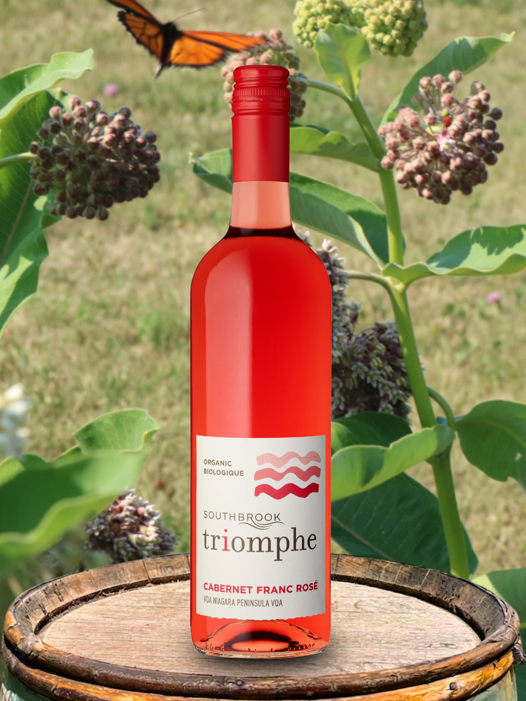 A pale pink rosé that has a fruit forward nose of strawberries, red cherries, orange peel, peach and watermelon.